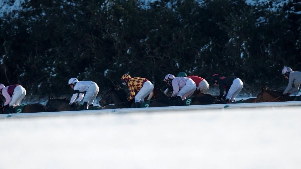 Lingfield snow